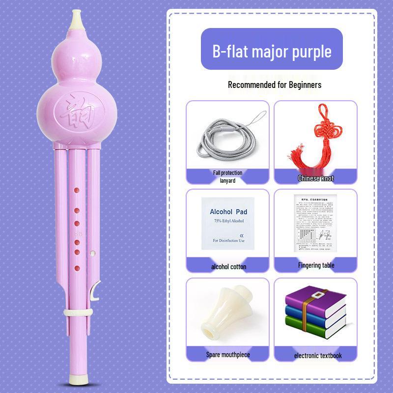 Beginner Hulusi Gourd Flute for Primary School Students - Ethnic B-flat and C Key Musical Instrument