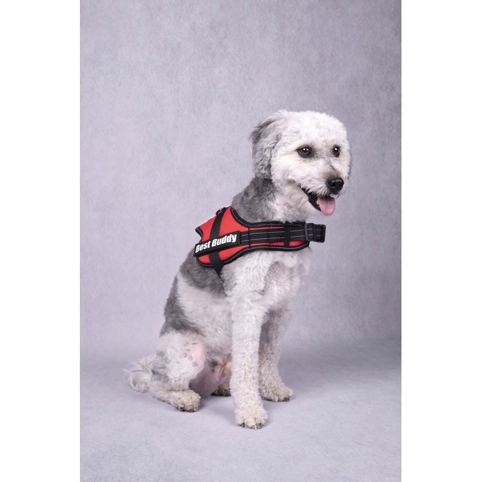 Harnais réglable pour chien Pluto rouge XXS