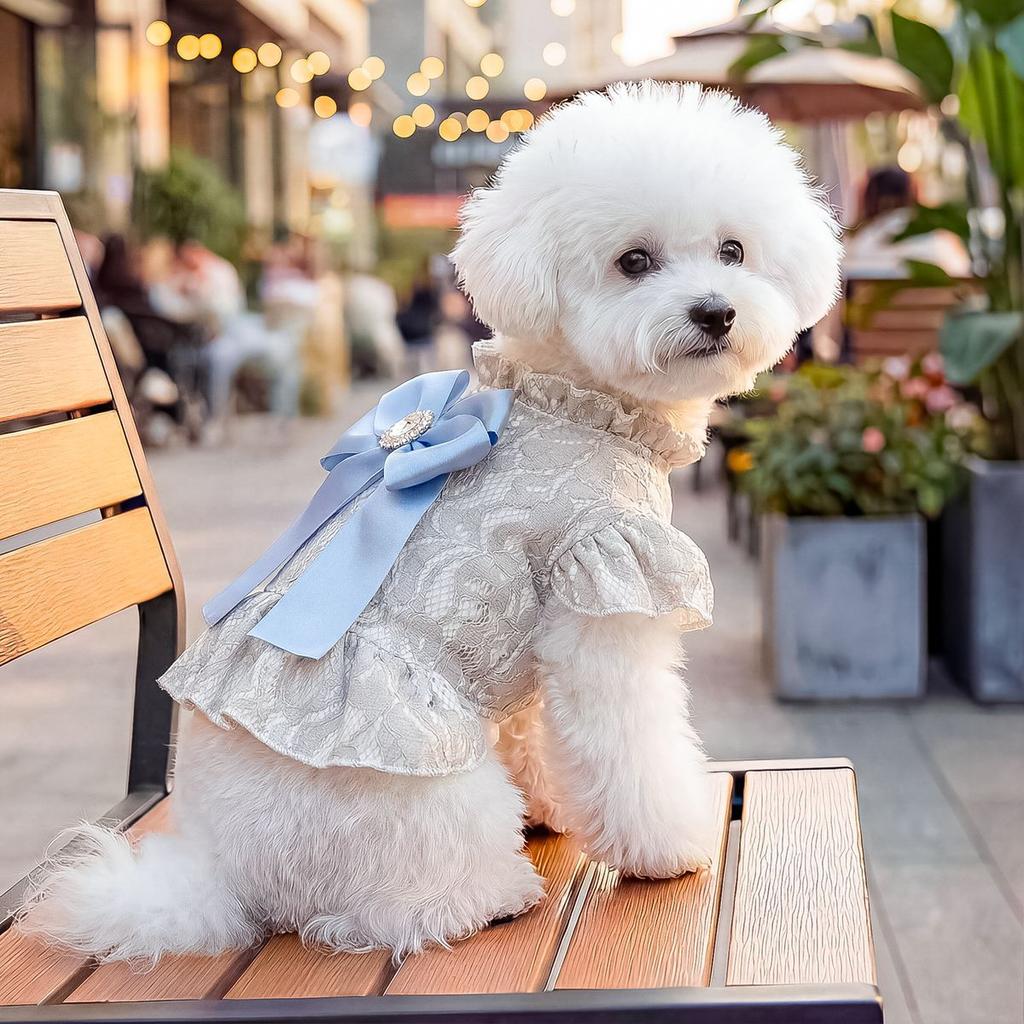 Spring Pet Dog Princess Dress Cute Lace Tutu Skirt Big Bowknot Short Sleeve Vest Dog Clothes for Small Dogs Puppy