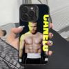 Mexico Boxing Canelo Alvarez Phone Case For iPhone 17,16,15,14,13,12,11 Plus,Pro Max,XS,Colored Silver Plated Inside Cover