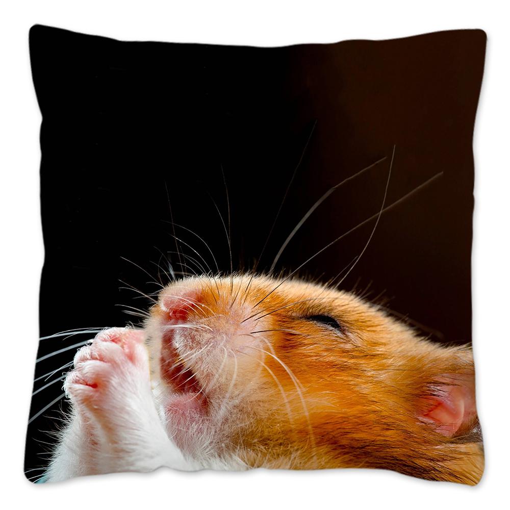Funny Hamster Meme Pillow Cover Home Decor Polyester Cushion Cover for Sofa Car Cute Pillow Case Cojines Decorativos Para Sofá