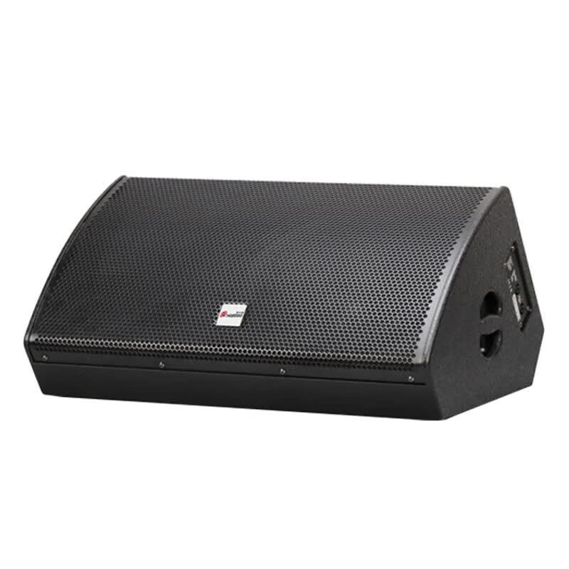 Hongshidao ZHYXFT12 12-inch Passive Full-Range Monitor Speaker (CN version)