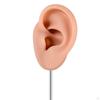 Silicone Ear Model Earring Display Stand Dresser Prop Mannequin Jewelry Rack for Birthday Girls