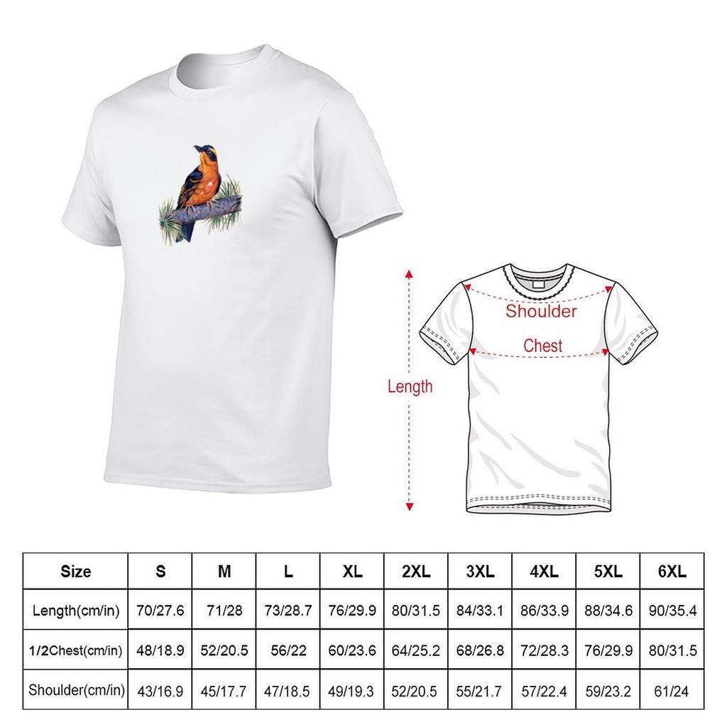 Birds In Hell TShirt Short sleeve tee aesthetic clothes mens graphic tshirts anime