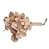 Wooden Parrot Chewing Toy Boredom Relieving Nuts Hanging Bird Foraging Chew Toy for Parrot Cage