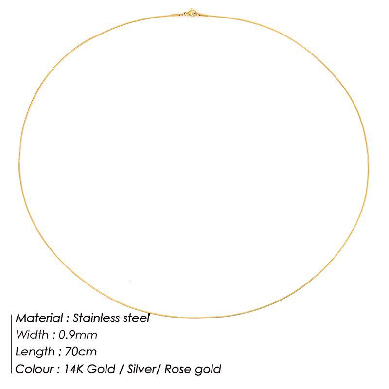 Korean Minimalist Versatile Snake Bone Chain Necklace - Cold Style Stainless Steel Jewelry