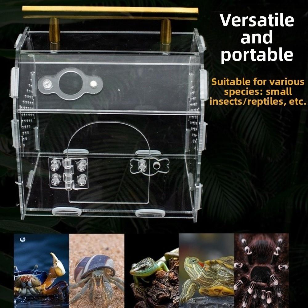 Magnetic Snap Closure Reptile Breeding Box Acrylic Spider Observation Box  Observation