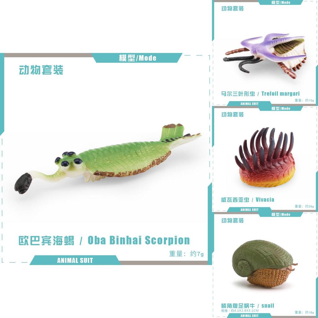 Marine Animal Pvc Model Set With Realistic Detail For Educational Display And Collection