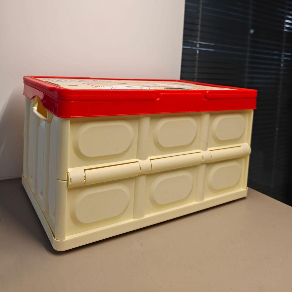 Colorful Foldable Cartoon Storage Box for Pet Snacks, Toys, and Camping Gear
