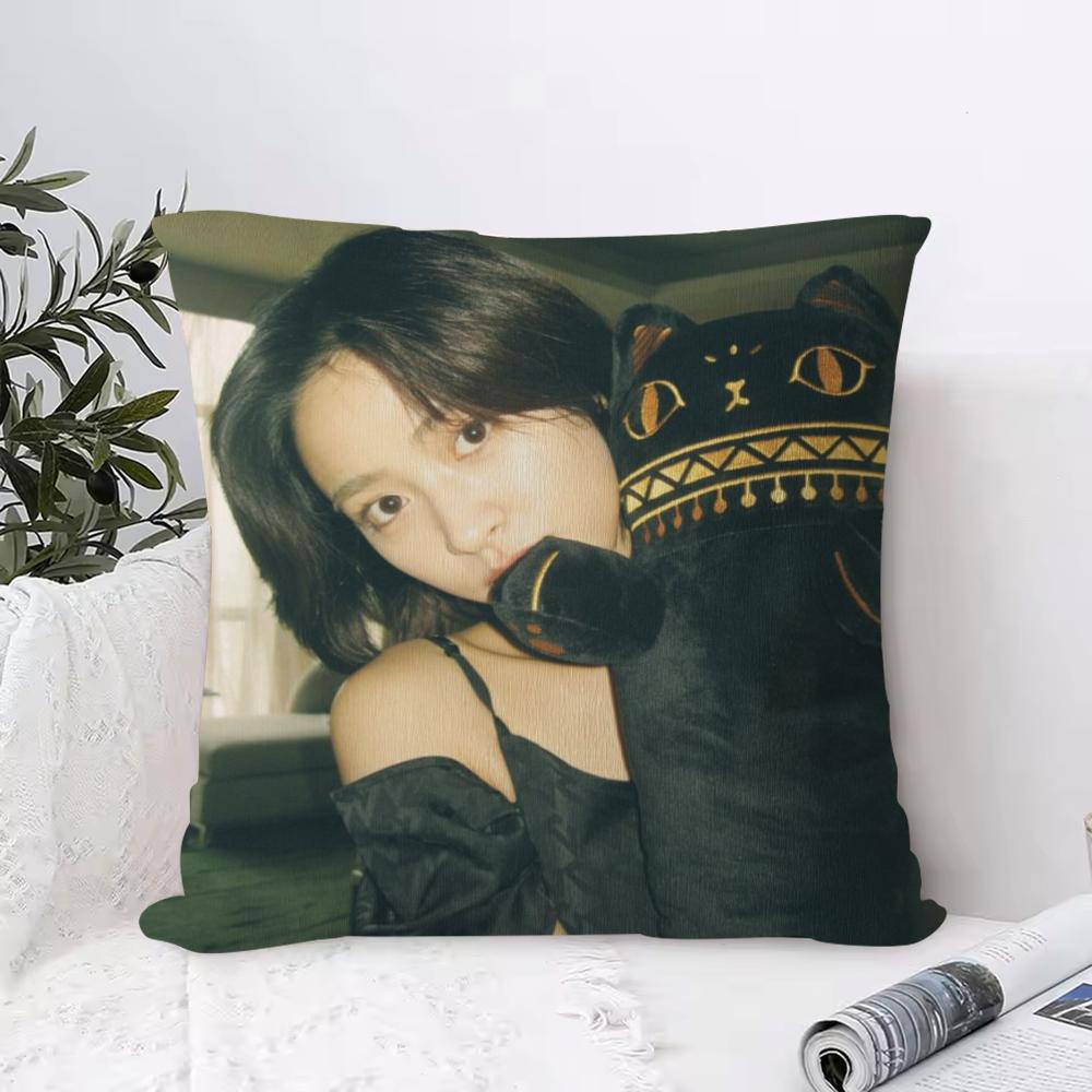 Cushion Cover Anti-dustmite Pillowcase Invisible Zipper Silky Short Plush Sofa Cushion Cover Simple Black And White Abstract
