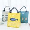 Thick Aluminum Foil Insulation Bag Cute Lunch Small Fish with Rice Bag Handcuffs Waterproof Box Package Picnic Bag Children's Meal Bag