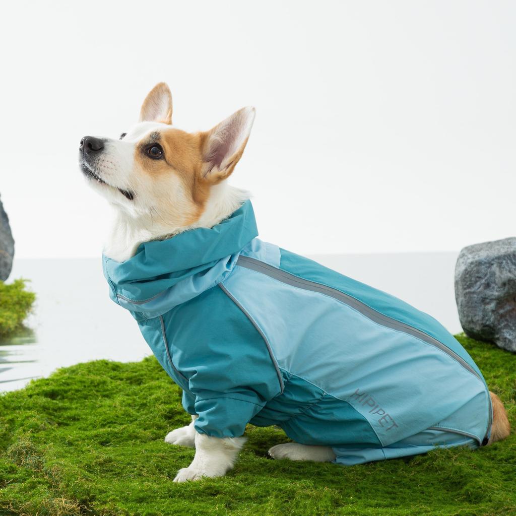 25 år gammal ny corgi regnjacka sommar vattentät och regntät utomhus fuktsäker vatten medium och liten hund hund husdjurshundkläder