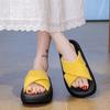 With skirt Internet celebrity fashion beach one-word cool slippers women's summer wear 2025 new thick-soled cross-strapped slippers
