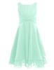 Abito da ragazza di fiori con volant in chiffon annodato in vita per ragazze. Spettacolo principessa, matrimonio, damigella d'onore, compleanno