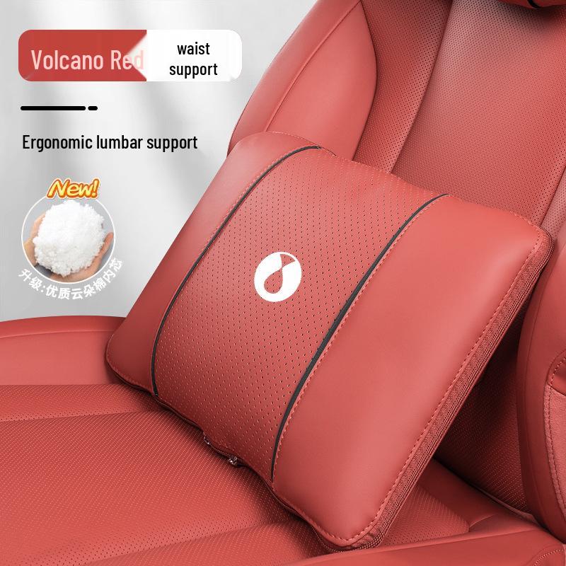 Denza Auto Hoofdsteun Neksteun & Lendensteun Set - D9/Z9GT Interieur Accessoires