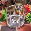Turtles Bathing Pool Large Reptiles Feeding Bowl Reptiles Habitat Accessory Suitable for Various Reptiles Enclosures