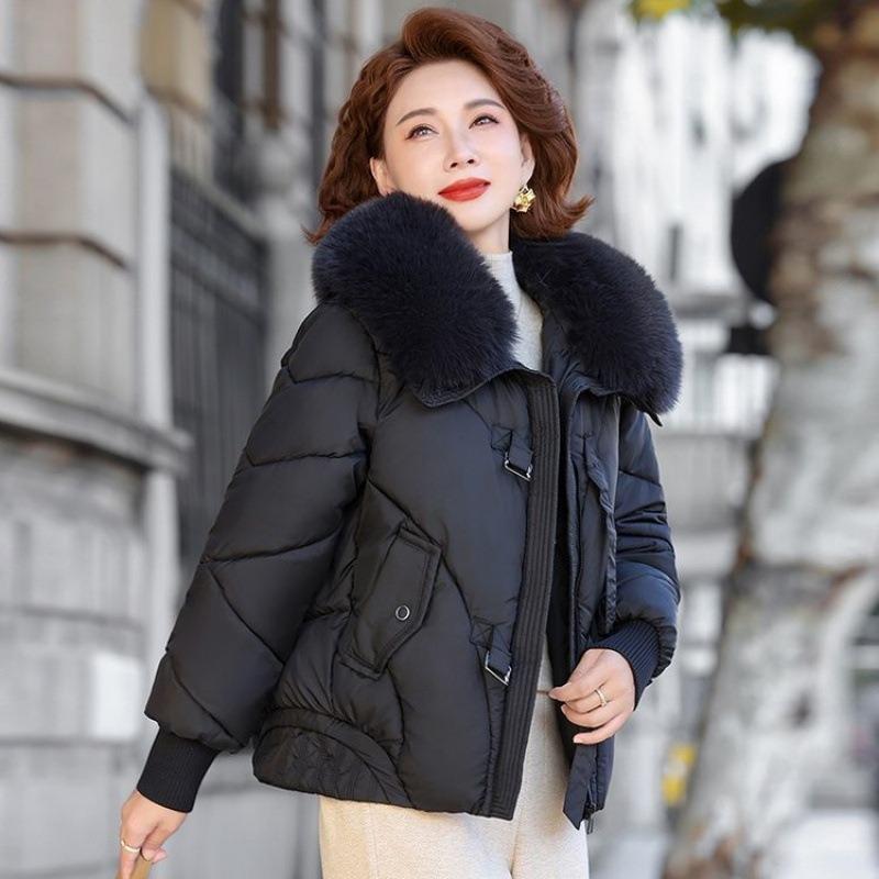New winter new down cotton-padded jacket short loose cotton-padded jacket sweater collar thickened cotton-padded jacket