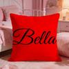 BBelleS Classic Brand Cushion Cover Premium Comfort Reversible Pillow Cove Two In One Design For Any Room  Car Interior