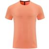 Men's Quick-Dry Sports T-Shirt: Solid Color, Breathable, Short Sleeve for Running & Fitness