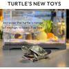Turtle Skateboard Mini With Anti-Slip Pad, Smooth Rolling Wheels for Turtles, Tortoise and Bird Toys
