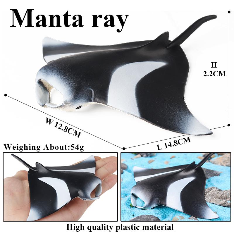 Oenux New Sea Life Seal Sea Lion Orcas Blue Whale Shark Megalodon Dolphin Aquarium Ocean Marine Animals Model Kids Toy Gift