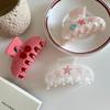 Acetate Starfish Hair Claw Ocean Sea Star Grab Clip Fashion Acetic Acid Hair Clip  Streetwear