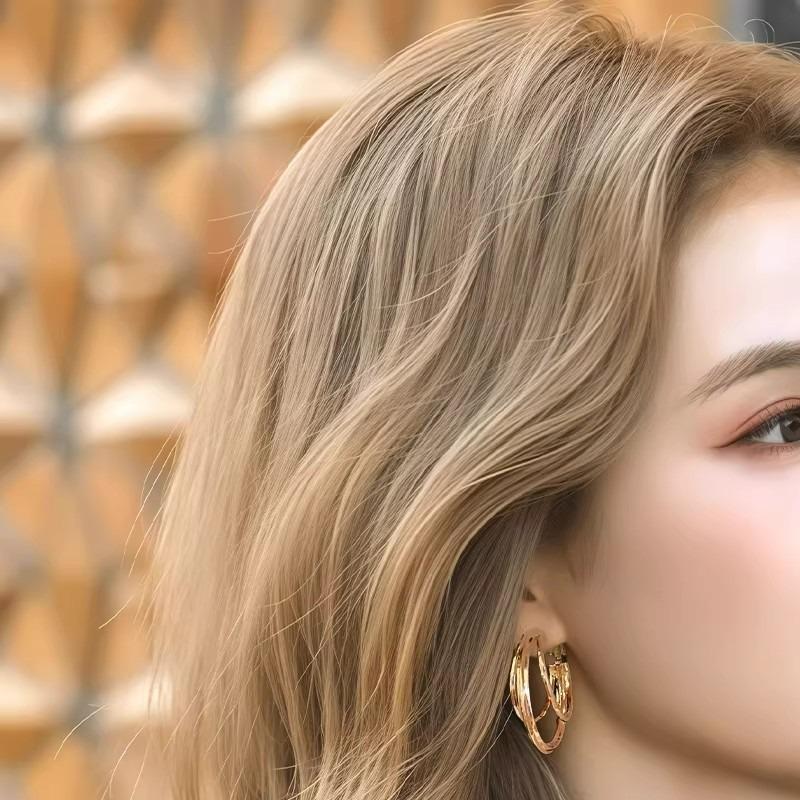 New Popular Metal Ring Earrings with A Sense of Luxury, Unique Earrings, Fashionable and Personalized Earrings
