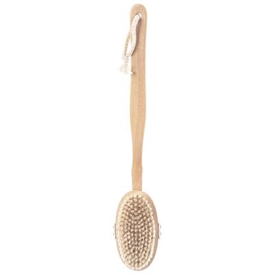 Łazienka i toaleta – Szczotki i gąbki do łazienki