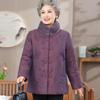 Women's New Chinese Style Padded Winter Coat