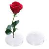 Blumenfroschhalter mit 3 Saugnäpfen, runde Vase aus transparentem Kunststoff, Blumenarrangement mit festem Stift, Blumenarrangement-Werkzeug