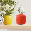 Chic Floral Display Vase for Home Decor