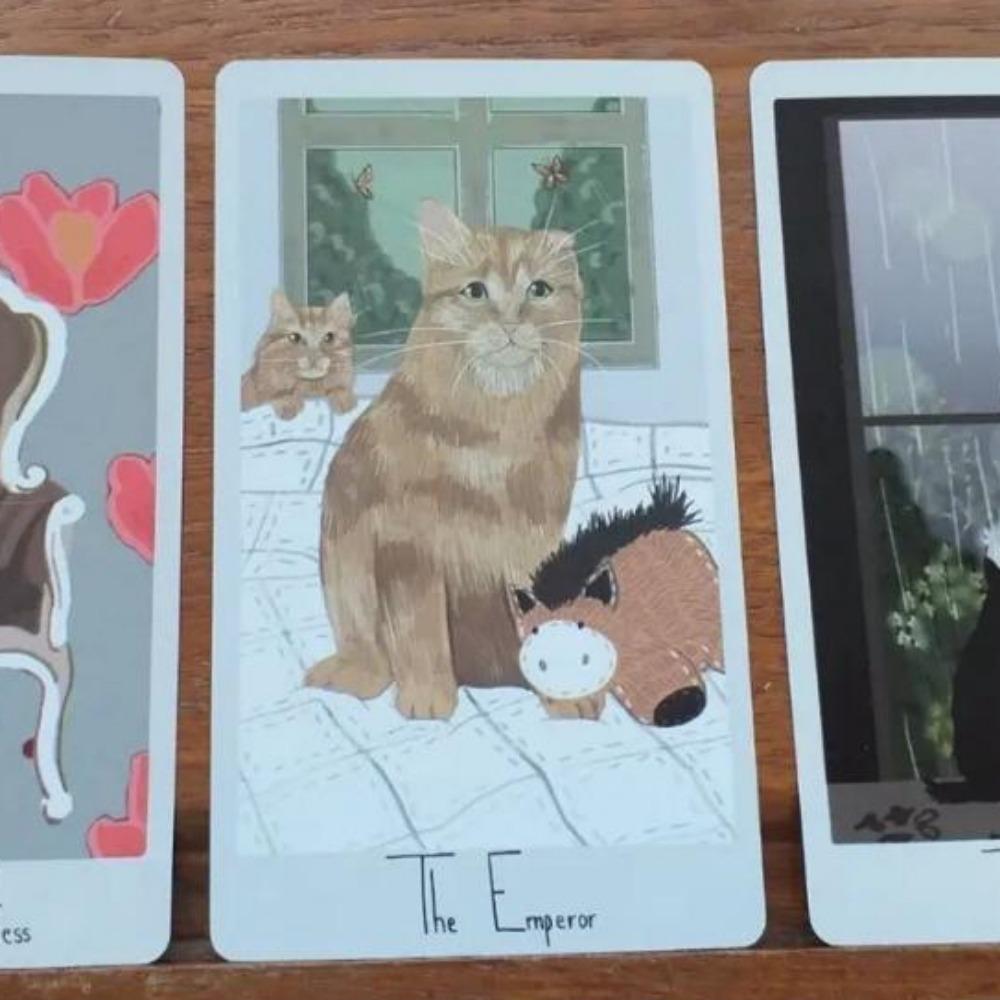 10.3*6cm Considerate Cat Tarot 78 Pcs Cards A Whimsical Cat Themed Tarot Deck Inspired By The Stories of Rescue Cats