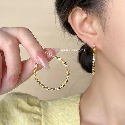 Retro Metal Circle Earrings Internet Celebrity Design Earrings New Trendy Foreign Style Earrings
