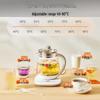 Joyoung 1.5L Multi-Function Glass Health Pot