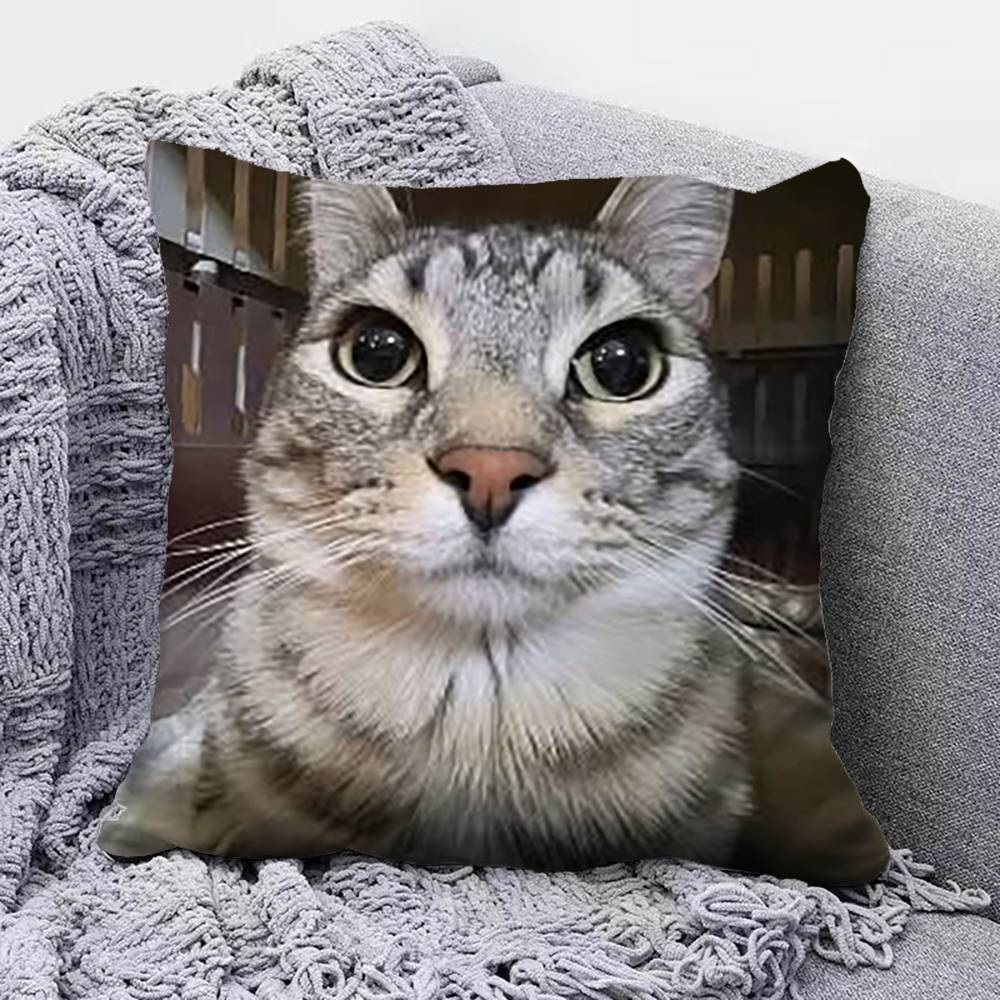 Funny Cat MMeMe Pillow Covers Home Sofa Cushion Covers and Aecorative Custom