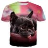 Sommer Rundhals Französische Bulldogge 3D Druck Top Modisch Lässig Kurzärmelig Herren und Damen Unisex T-Shirts