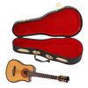Linde und Metall  ature Elektrische Gitarre Modell   Musikinstrument Ornamente
