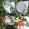 Raccoglitore di Frutta con Palo Telescopico Raccoglitore di Frutta in Metallo Giardinaggio Frutteto Strumenti per la Raccolta di Mele e Pesche Raccoglitore di Frutta da Giardino Raccolta
