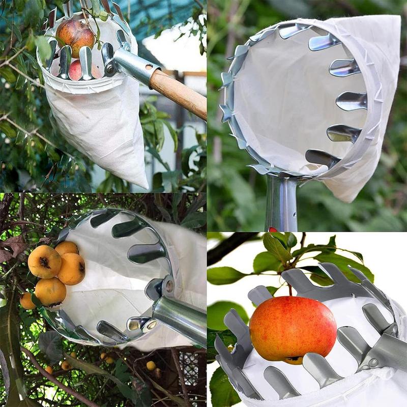 Raccoglitore di Frutta con Palo Telescopico Raccoglitore di Frutta in Metallo Giardinaggio Frutteto Strumenti per la Raccolta di Mele e Pesche Raccoglitore di Frutta da Giardino Raccolta