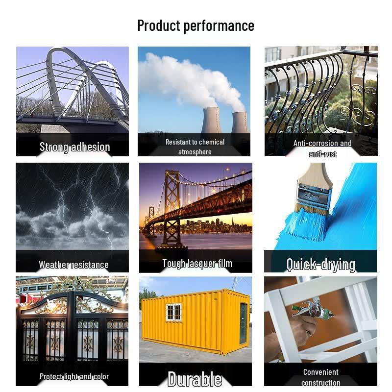 Dong Sheng Water-based Anti-Rust Industrial Paint