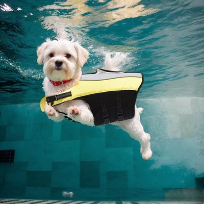 Pet Life Jacket New Dog Life Jacket Swimming Suit Teddy Golden Retriever Dog Life Jacket
