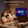 Wireless USB Microphone Duo Set for Home Use