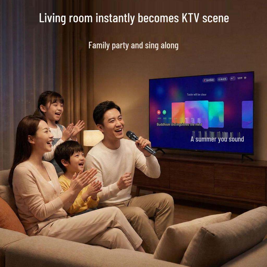 Wireless USB Microphone Duo Set for Home Use