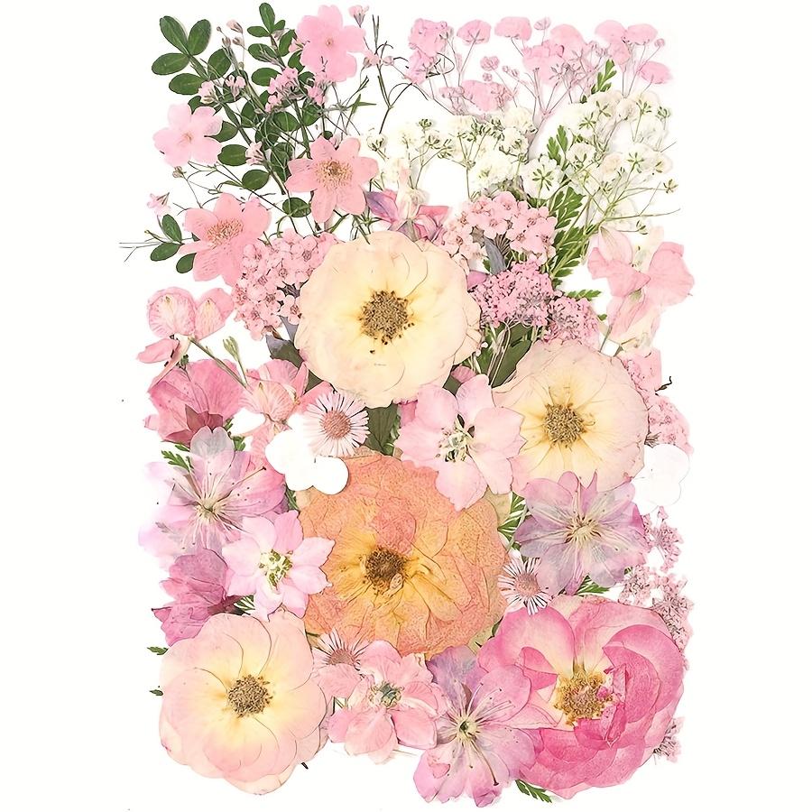 

Natural Pressed Flower Crafts for Resin Jewelry, Bookmarks & DIY Decor. Unique & Eco-friendly. розовый