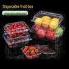 ZISIZ Disposable Transparent Fruit & Strawberry Container
