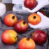 Artificial Pomegranate Model