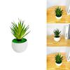 Gladiolus Fake Succulent Plant Pot With Pvc Material For Home Decor And Office Display
