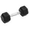 VidaXL Haltères 2 pcs 8 kg Total Fonte, ensemble d'haltères, haltère hexagonal, plaque de poids, barre de poids, poids libre 93600