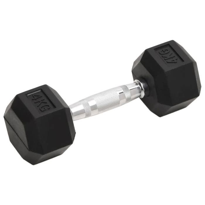 VidaXL Haltères 2 pcs 8 kg Total Fonte, ensemble d'haltères, haltère hexagonal, plaque de poids, barre de poids, poids libre 93600