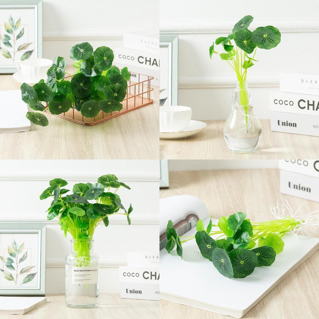 Hydrocotyle Vulgaris Faux Aquatic Green Plant For Photography Event Decor